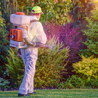 Spring Forward In Your Home Pest Prevention Plan