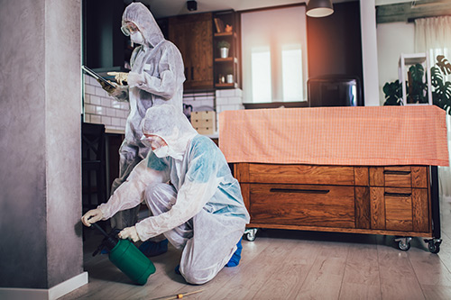 Secured Environments Pest and Wildlife Services - Pest Control