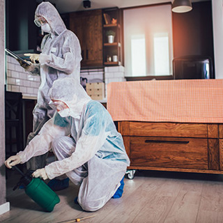 Pest Control Services: Prevent Disease and Other Health Risks