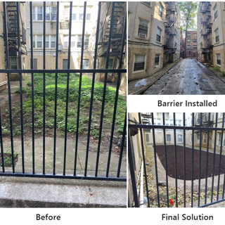 Protect Your Home with Rodent Exclusion Services 