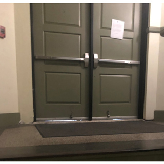 Rodent Exclusion vs. Rodent Control: What’s the Difference and Why It Matters - MA, RI Pest Prevention & Control Solutions