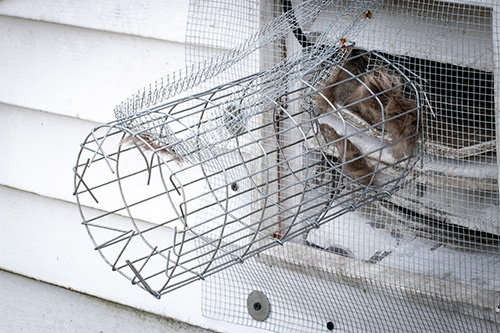Secured Environments Pest and Wildlife Control