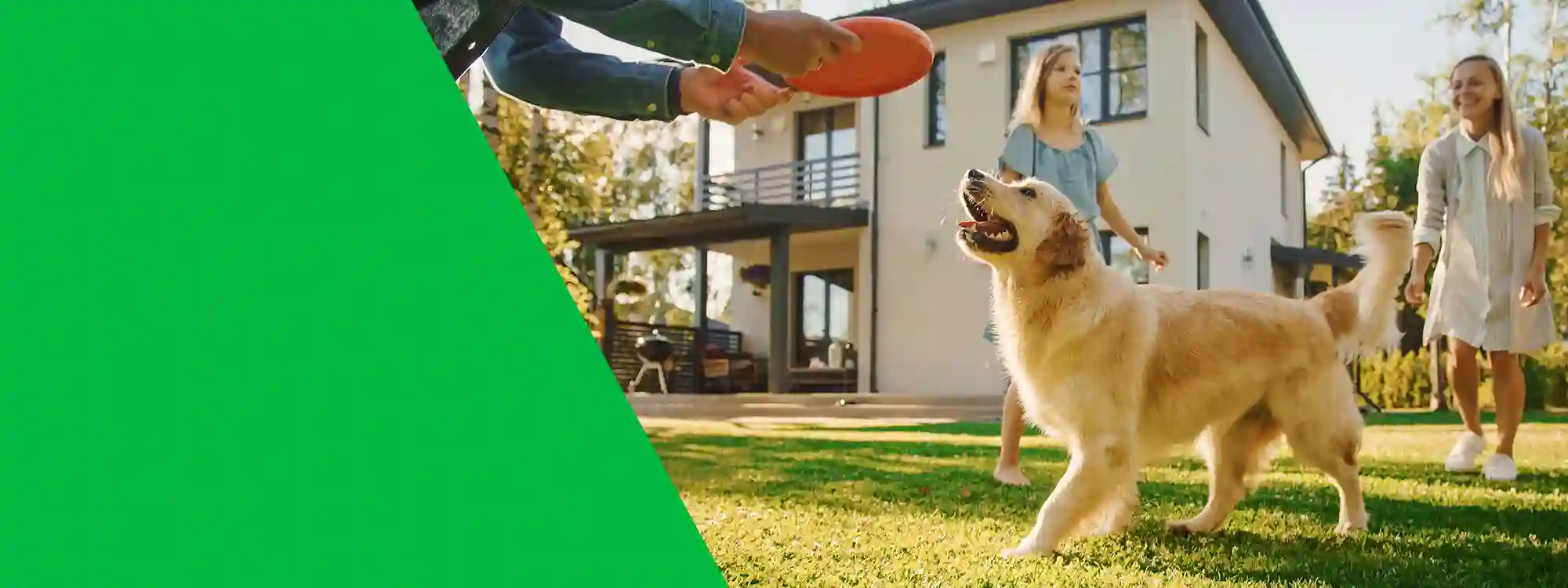 Secured Environments provides professional pest control and wildlife removal services for Commercial and Residential clients throughout The Greater Boston Area, The South Shore, and Providence RI.